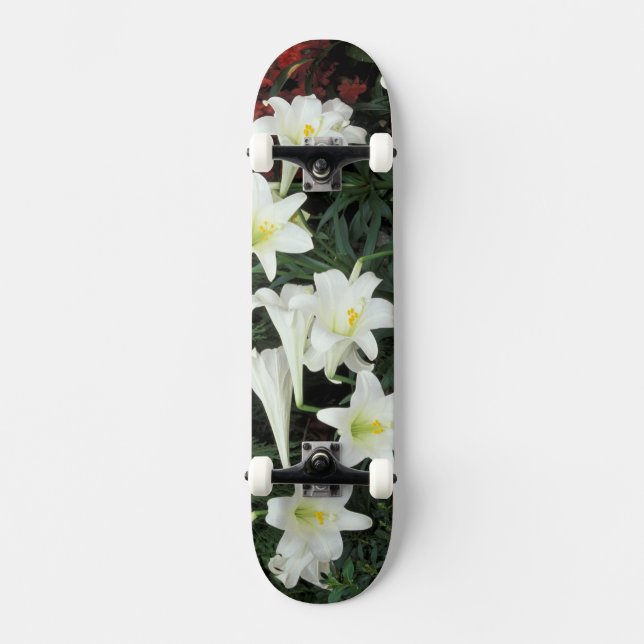 Skateboard Lis de Pâques (Lilium regale) (Recto)