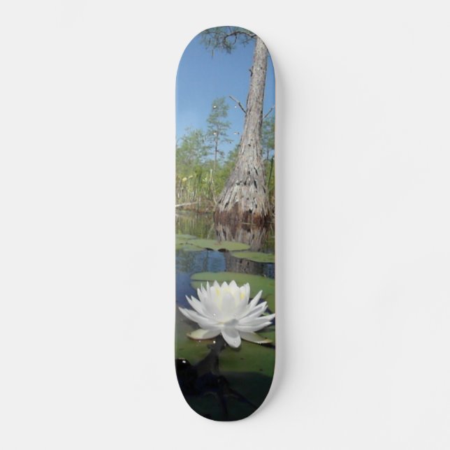 Skateboard Lit d'eau 2 (Recto)