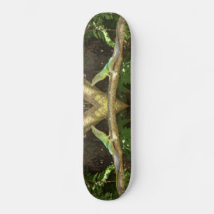 Skateboard Lizard vert jamaïcain