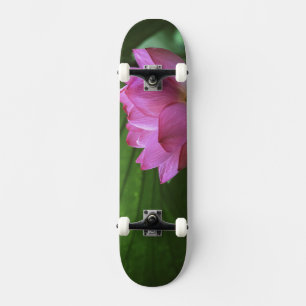 Skateboard Lotus Ohga, jardin Sankei-en, Yokohama, Japon