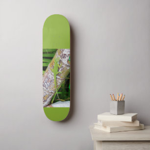 Skateboard Lounge Lizard Green Gecko