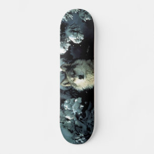 Skateboard Loup de bois de construction nord-américain dans