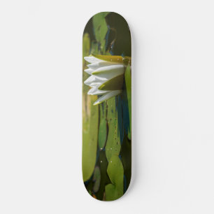 Skateboard Lys d'eau blanche