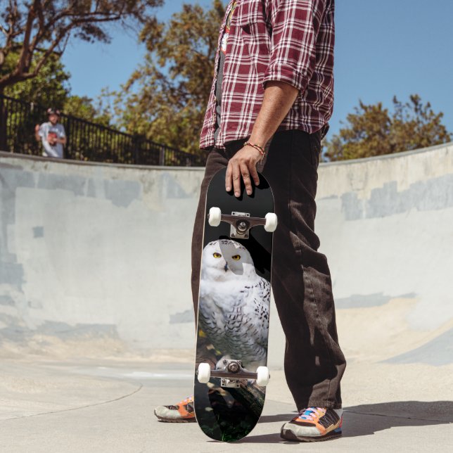 Skateboard Magnifique harfang des neiges d'hiver (Extérieur 2)