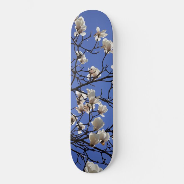 Skateboard Magnolias florissants (Recto)