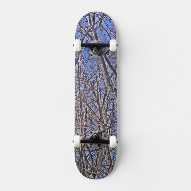 Skateboard Maïs forestier (Recto)