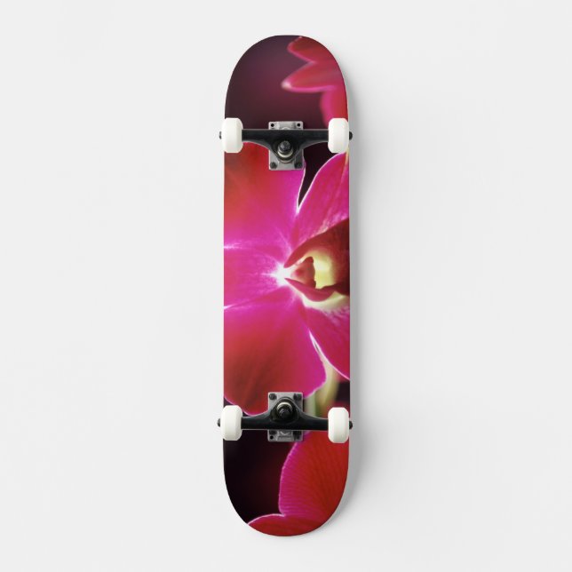 Skateboard Malaisie, orchidée (Recto)
