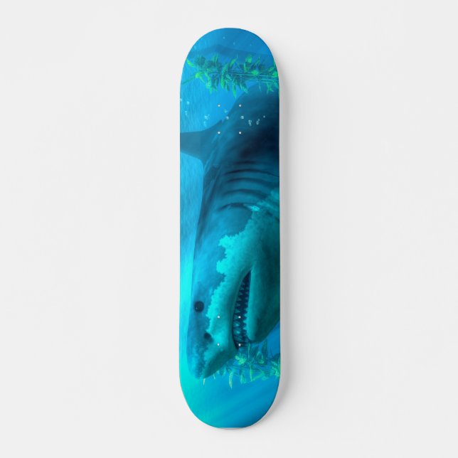 Skateboard Megalodon (Devant)