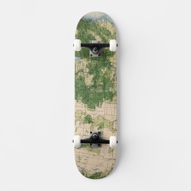 Skateboard Mille de 156 Wheat/sq (Recto)
