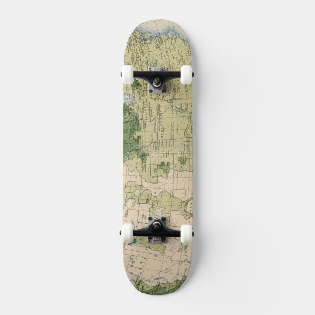 Skateboard Mille de 161 Barley/sq (Recto)