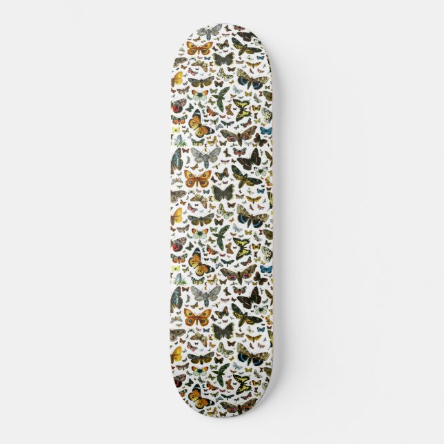 Skateboard Modèle (Recto)