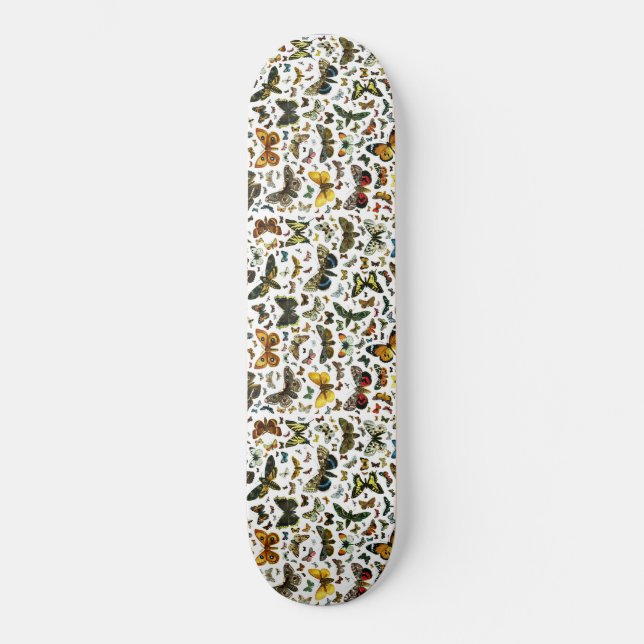 Skateboard Modèle (Recto)