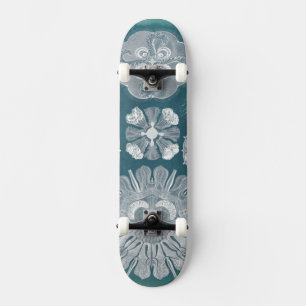 Skateboard Modèle IV de vie marine
