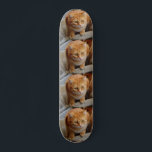 Skateboard Modèle personnalisé de photo de chat de chien de c<br><div class="desc">Cette conception peut être personnalisée dans la zone fournie en changeant la photo et/ou le texte. Ou elle peut être customisée en choisissant l'option de customiser plus loin et en supprimant ou en changeant la couleur du arrière - plan, en ajoutant du texte, en modifiant la couleur ou le style...</div>