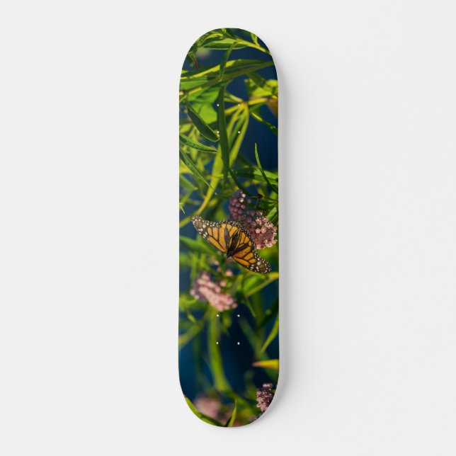 Skateboard Monarque Et Milkweed (Devant)