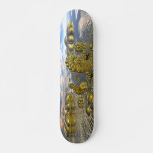 Skateboard Monde de Midas