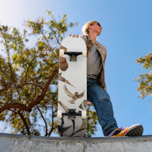 Skateboard Montagne brumeuse zen oiseaux minimaliste nature