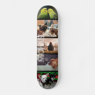 Skateboard Monument aux animaux de compagnie, le collage phot