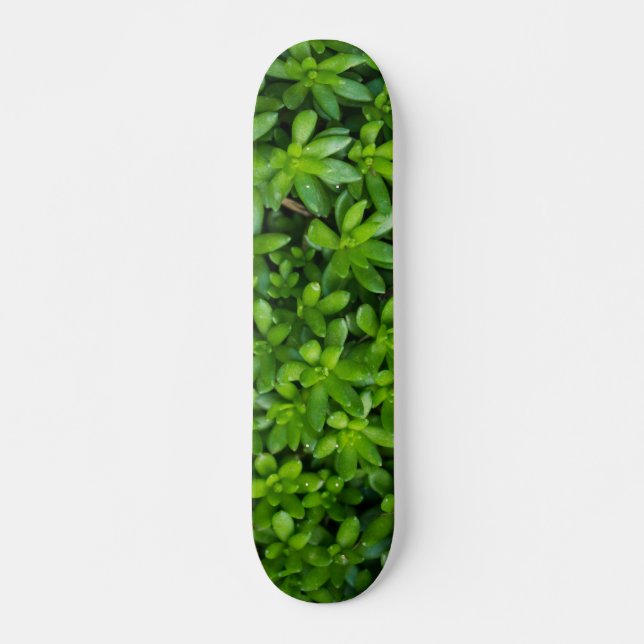 Skateboard Moss Abstrait (Devant)