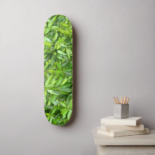 Skateboard Motif Feuille verdoyant - Nature Botanique
