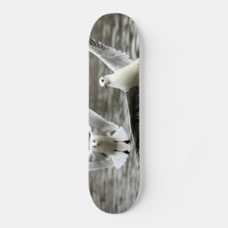 Skateboard Mouettes en vol