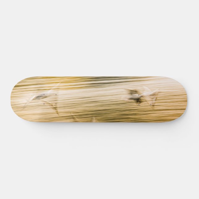 Skateboard Mouettes volantes - abstrait (Horz)