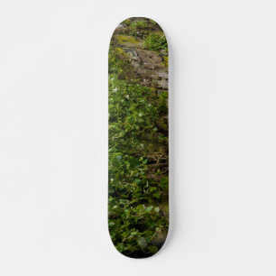 Skateboard Mur D'Ivy