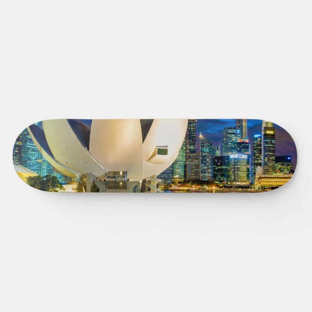 Skateboard Musée ArtScience (Horz)
