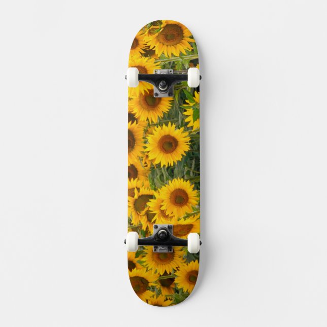 Skateboard Na, États-Unis, Colorado, tournesols (Recto)