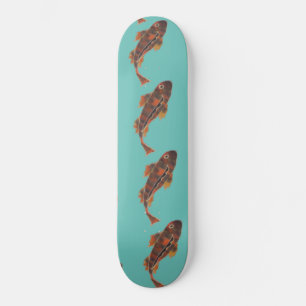 Skateboard - Natation Koi