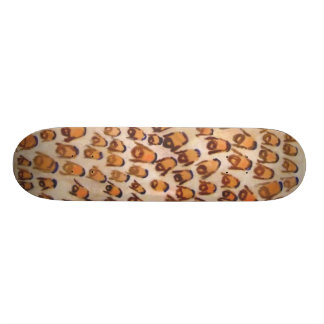 Skateboard nation hasside