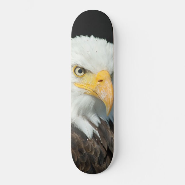 Skateboard - Nature Oiseau Aigle (Recto)