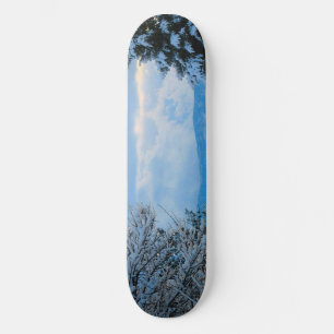 Skateboard Neige sur les pins dans les montagnes Rocheuses du