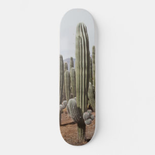 Skateboard Oasis de Cactus #1 #mur #décoration #art