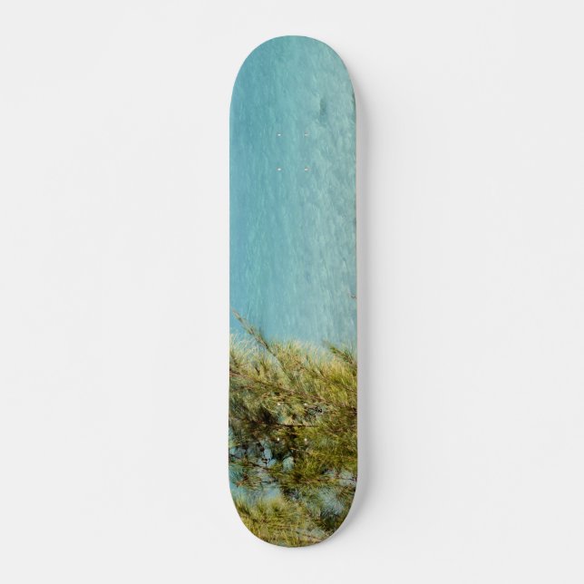 Skateboard Océan (Devant)