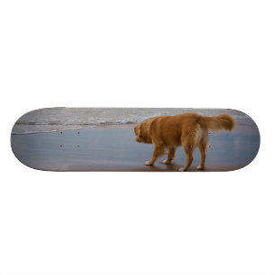 Skateboard Océan de tintement de chien d'arrêt de canard de