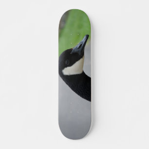 Skateboard Oie canadienne