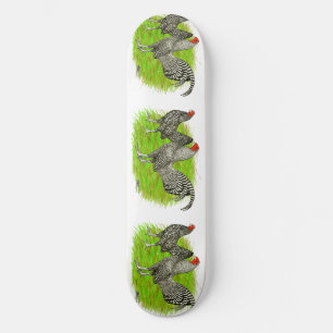 Skateboard Old English Game