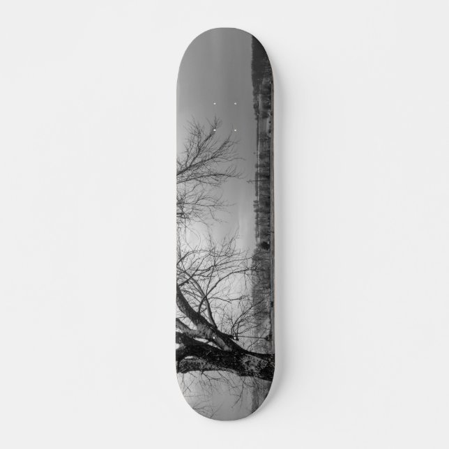Skateboard Old Winter Tree Gris (Devant)