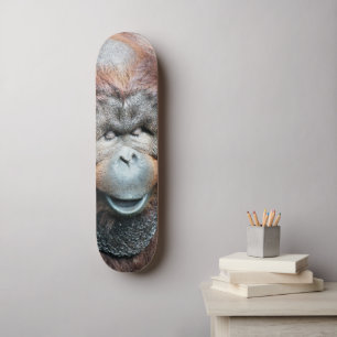SKATEBOARD ORANGS-OUTANS