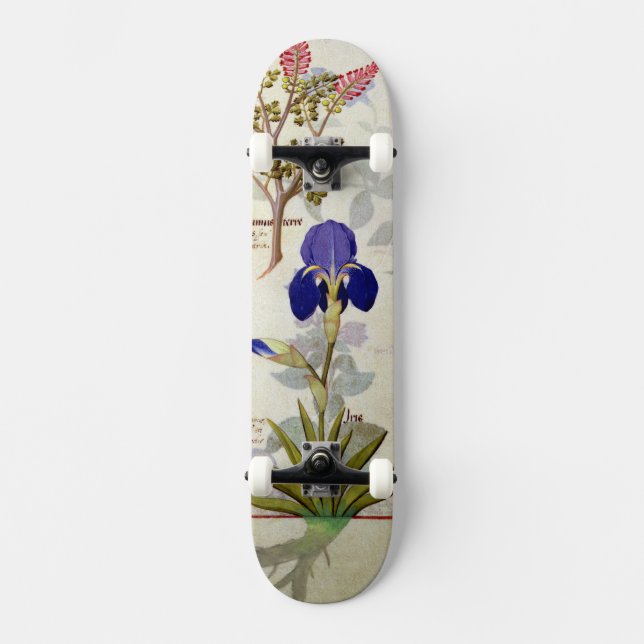 Skateboard Orchidée et Fumitory ou Hedera et iris de (Recto)