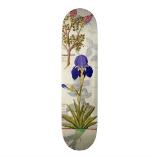 Skateboard Orchidée et Fumitory ou Hedera et iris de