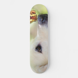 Skateboard Oreiller À Lancer Du Labrador Et Du Papillon