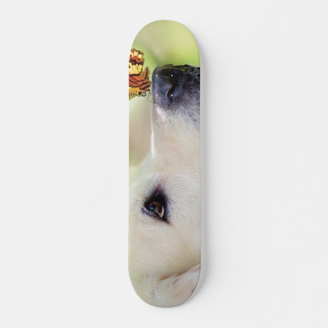 Skateboard Oreiller À Lancer Du Labrador Et Du Papillon (Devant)