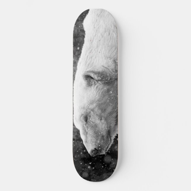 Skateboard Ours blanc paisible (Recto)