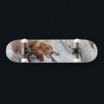Skateboard Ours brun attrape un saumon rouge<br><div class="desc">Les ours bruns pêchent le saumon rouge aux chutes de la rivière Brooks,  parc national de Katmai,  sud-ouest,  Alaska.</div>