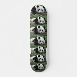 SKATEBOARD OURS PANDA