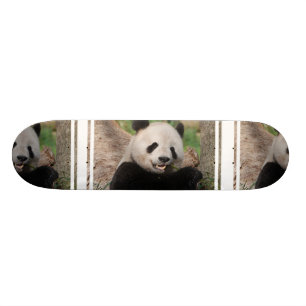 Skateboard Ours panda de sourire