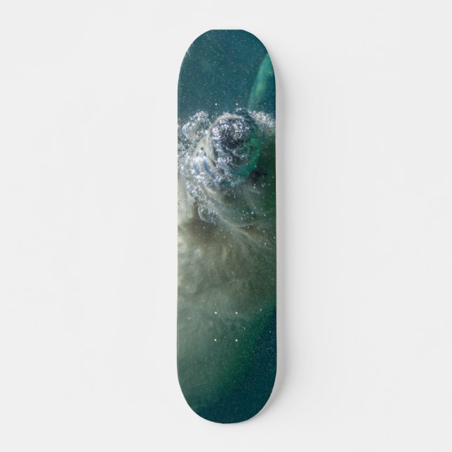 Skateboard Ours polaire sous l'eau (Devant)