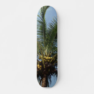 Skateboard Palmier à coco